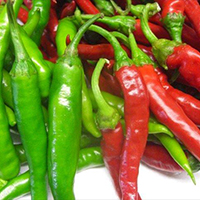 路山フランチャイズ募集中